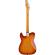 Guitarra eléctrica Fender Player Plus Nashville Telecaster PF Sienna Sunburst