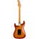 Guitarra eléctrica Fender Player Plus Stratocaster PF Sienna Sunburst