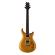 Comprar guitarra PRS SE DGT Gold Top