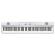 Piano digital Korg Liano Pearl White 88 teclas