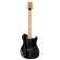 Guitarra eléctrica PRS NF53 Black Doghair