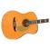 Guitarra acústica Fender Palomino Vintage AGN