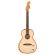 Guitarra acústica Fender Highway Series Parlor NAT