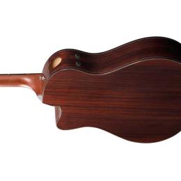 Comprar guitarra electroacústica Ibanez AAM380CE Natural High Gloss