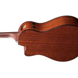 Comprar guitarra electroacústica Ibanez AAM300CE Natural High Gloss