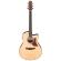 Comprar guitarra electroacústica Ibanez AAM50CE Open Pore Natural