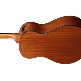 Comprar guitarra acústica Ibanez AAM54 Open Pore Natural