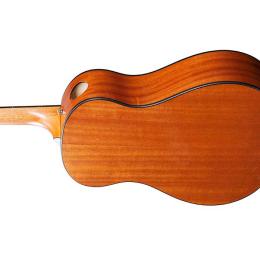 Comprar guitarra acústica Ibanez AAM50 Open Pore Natural