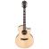 Comprar guitarra acústica electrificada Ibanez AE390-NTA