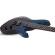 Comprar guitarra eléctrica multiescala 7 cuerdas Schecter Reaper-7 Elite MS Deep Ocean Blue
