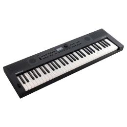 Teclado musical Roland Go:Keys 5 Graphite con ritmos