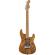 Comprar guitarra eléctrica Charvel Guthrie Govan Signature HSH Caramelized Ash Natural