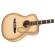 Comprar guitarra acústica Fender Limited California Vintage Malibu Antigua