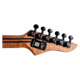 Guitarra eléctrica guitarra Mooer GTRS M810 Blue Burst