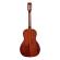 Guitarra acústica Parlor Alvarez MP66