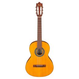 Guitarra tres cuartos Ibanez GA2 Open Pore Amber