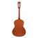 Guitarra tres cuartos Ibanez GA2 Open Pore Amber