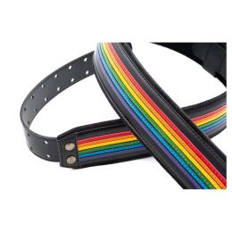 Correa para guitarra Righton Straps Prisma
