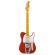 Guitarra eléctrica Fender Stories Collection Mike Campbell Red Dog Telecaster MN RDR