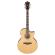 Guitarra electro-acústica Ibanez AE170-NTR