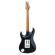 Guitarra eléctrica Ibanez AZ2203NT-DBF