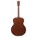 Guitarra acústica Ibanez PJ50E-OAH