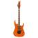 Guitarra eléctrica Ibanez RG460DX-ROM