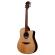 Guitarra electroacústica Lâg HyVibe THV10DCE-LB Dreadnought