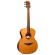 Guitarra acústica Lâg Tramontane T170A Auditorium