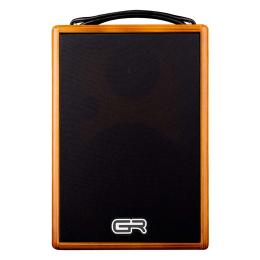 Amplificador para guitarra acústica GR Guitar WD Acoustic 6