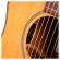 Guitarra electro-acústica Cort Essence OC4 NSG