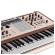 Sintetizador analógico Arturia PolyBrute 12