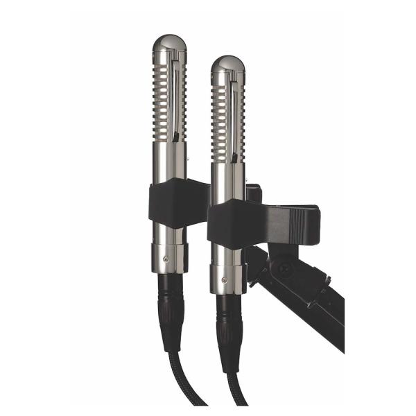 Warm Audio WA-FT Fen-Tone (Pair)