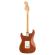 Guitarra eléctrica limitada Fender American Performer Sassafras Stratocaster RW MCH