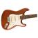 Guitarra eléctrica limitada Fender American Performer Sassafras Stratocaster RW MCH