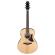 Guitarra electroacústica Ibanez AAM100E-NT