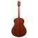 Guitarra electroacústica Ibanez AAM100E-NT