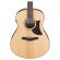 Guitarra electroacústica Ibanez AAM100E-NT
