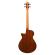 Bajo electroacústico Ibanez AEGB25E-TKH
