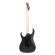 Guitarra eléctrica Ibanez RG450B-WK