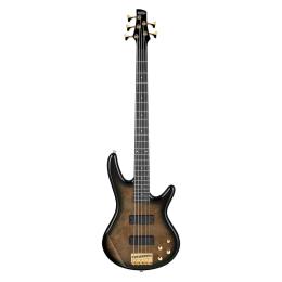 Bajo eléctrico 5 cuerdas Ibanez GSR205PC-TPB