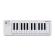 Teclado controlador Arturia MicroLab mk3 White