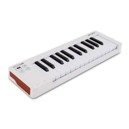 Teclado controlador Arturia MicroLab mk3 White
