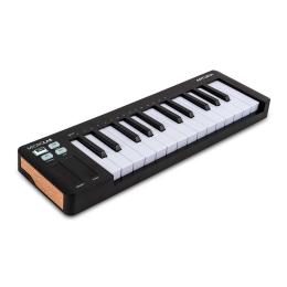 Teclado controlador Arturia MicroLab mk3 Black