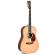 Guitarra acústica Sigma Custom SDR-42S