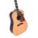 Guitarra acústica Sigma Custom SDR-SG5