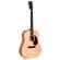 Guitarra acústica Sigma DM Limited Series