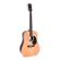 Guitarra acústica Sigma SDR-1