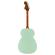 Guitarra electroacústica Fender California Standard Monterey E Spruce Top SFG