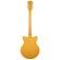 Guitarra eléctrica Gretsch G2655 Streamliner Center Block Jr Double-Cut VLAMB